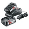 Bosch 18V 2 Accu's 2.5Ah + Oplader Voor Het 'Power For All' Accuplatform Van Bosch, Gardena En O.a. Gloria -Kwaliteitswinkel Voor Thuishulpmiddelen 123 165